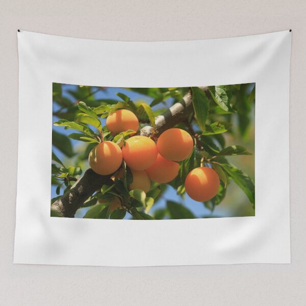 Item preview, Cherry-plum on summer tree designed and sold by olena2552.