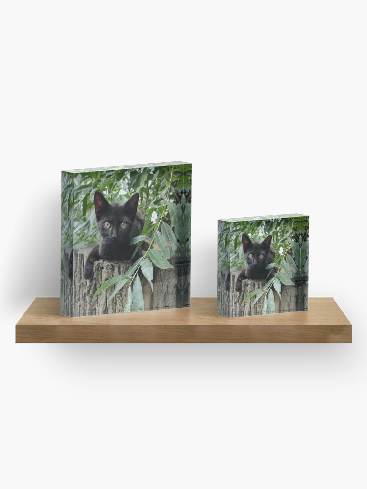 Alternative Ansicht von Kater Paule auf der Weide Acrylblock