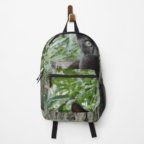 Item preview, Cat Paule in the pasture designed and sold by Gourmetkater.