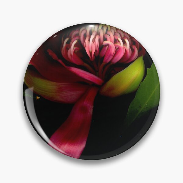 Item preview, Waratah designed and sold by Kirsten Spry.