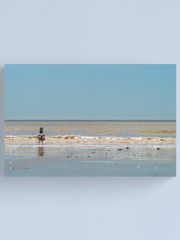 Thumbnail 1 of 3, Canvas Print, Staring out to sea designed and sold by Compelling2011.