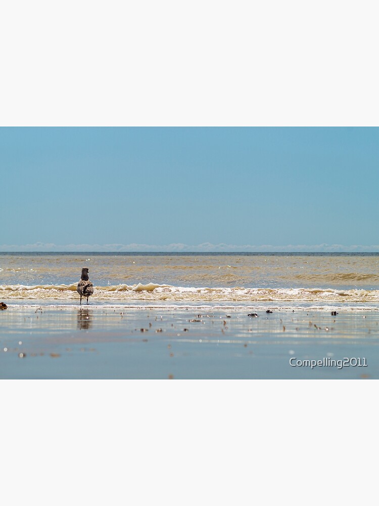 Thumbnail 3 of 3, Canvas Print, Staring out to sea designed and sold by Compelling2011.