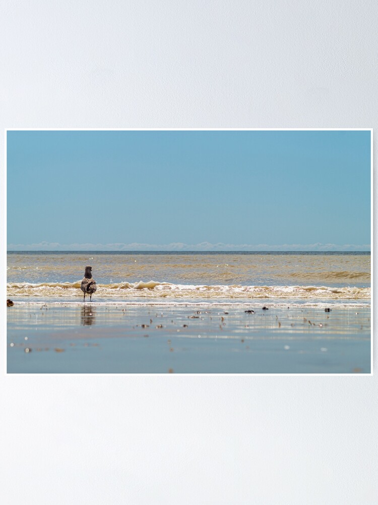 Thumbnail 1 of 3, Poster, Staring out to sea designed and sold by Compelling2011.