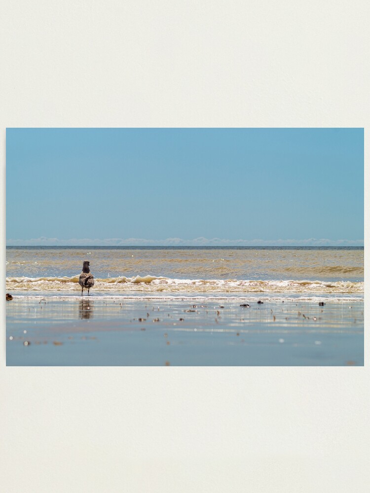 Thumbnail 1 of 3, Photographic Print, Staring out to sea designed and sold by Compelling2011.