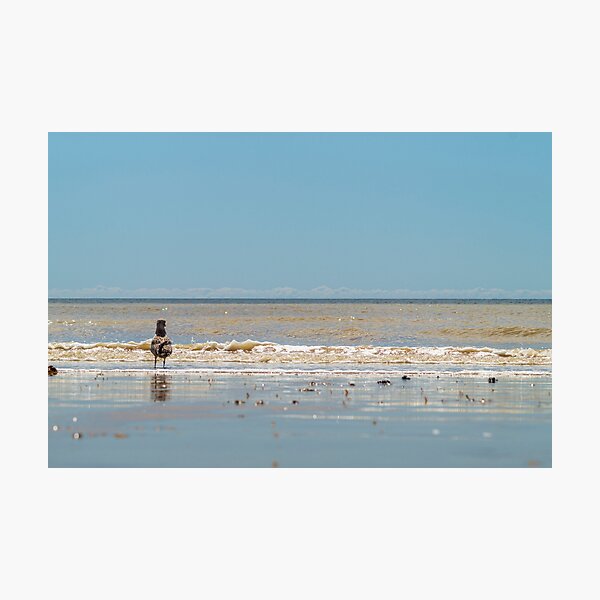 Photographic Print