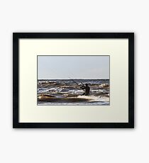 Kite Surfing - 1292 Framed Print