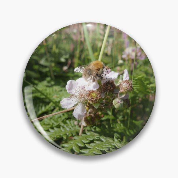 Artikelvorschau, Brombeere (Rubus fruticosus) entworfen und verkauft von IOMWildFlowers.