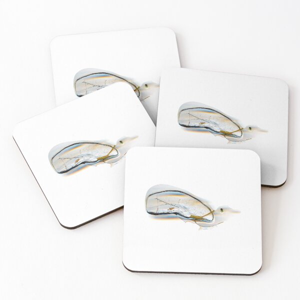 Item preview, Spring ice is deceptive. designed and sold by Marc DEFORTESCU.