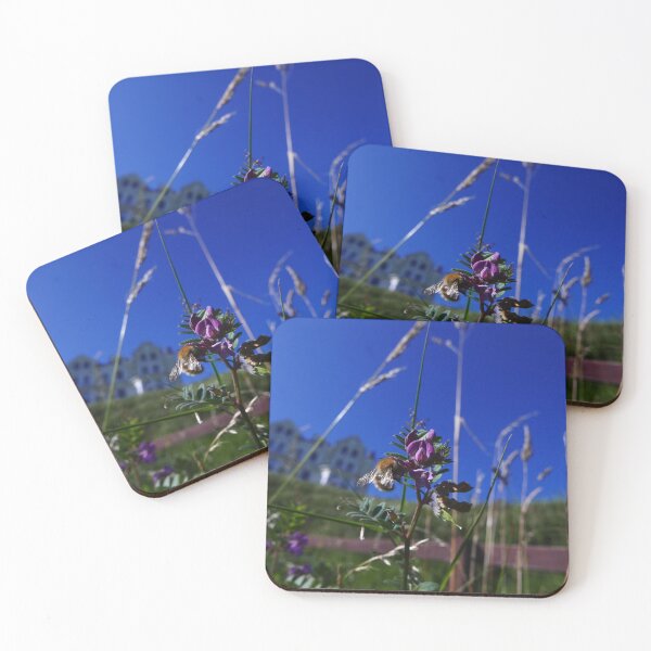 Item preview, Bush Vetch (Vicia sepium) designed and sold by IOMWildFlowers.
