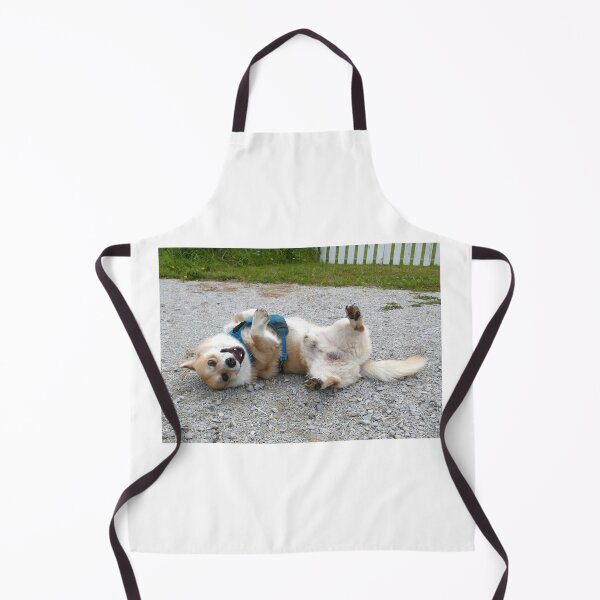 Item preview, Corgi losing it designed and sold by willy92.