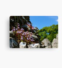 Thetford Priory Canvas Print