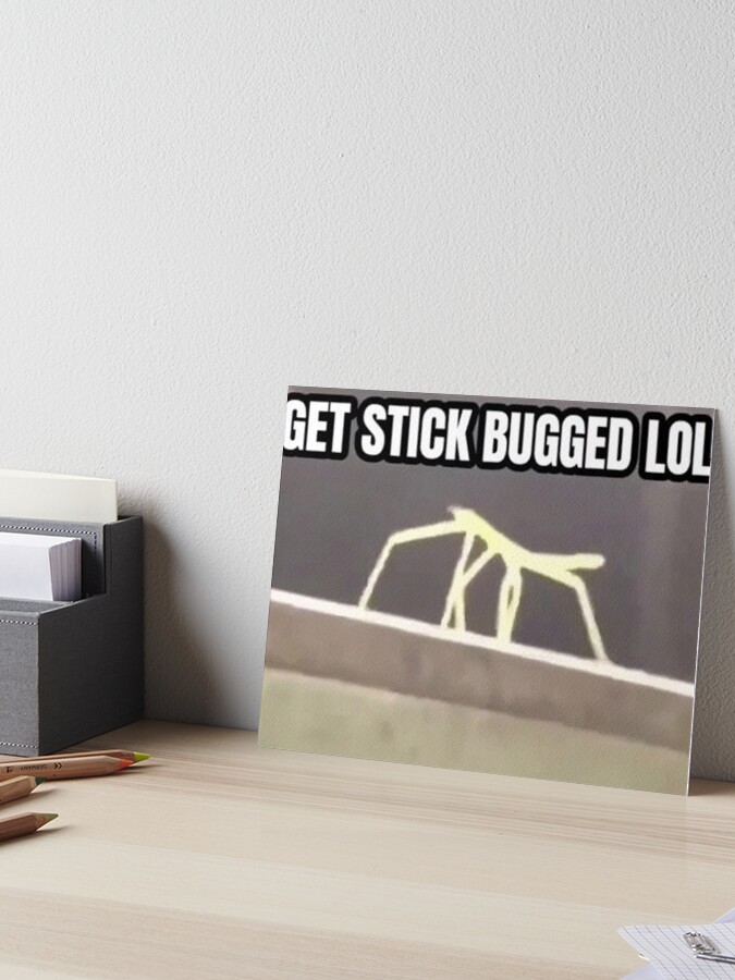 stick bugged meme