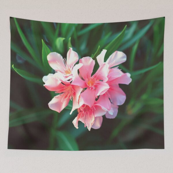 Item preview, Pink Nerium oleander flower against natural green background designed and sold by lena-maximova.