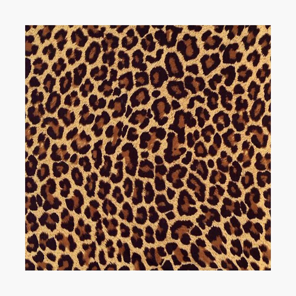 Cheetah Print Poster