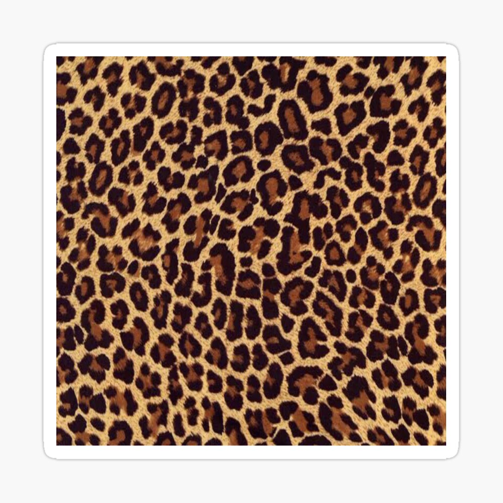 Cheetah Print Poster