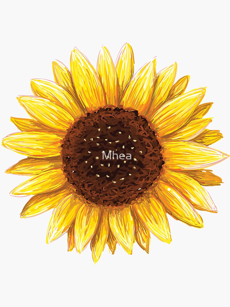 U0026quot Sunflower Sticker U0026quot Sticker By Mhea