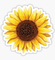 Sunflower sticker Sticker