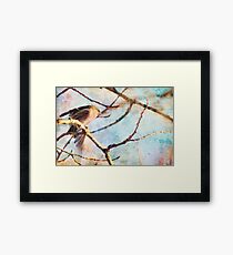 solstice.... Framed Print
