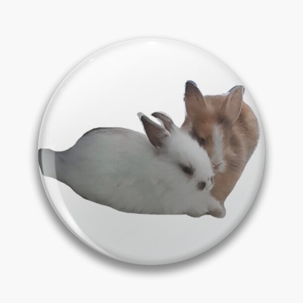 Item preview, Cute Bunnies Photo  designed and sold by Yeewen1234.