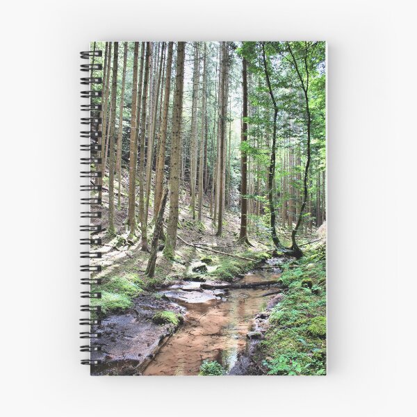 Item preview, Palatinate Forest designed and sold by jean-nicolas.
