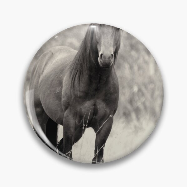 Item preview, Mask SAVE THE Brumbies designed and sold by julie anne  grattan.