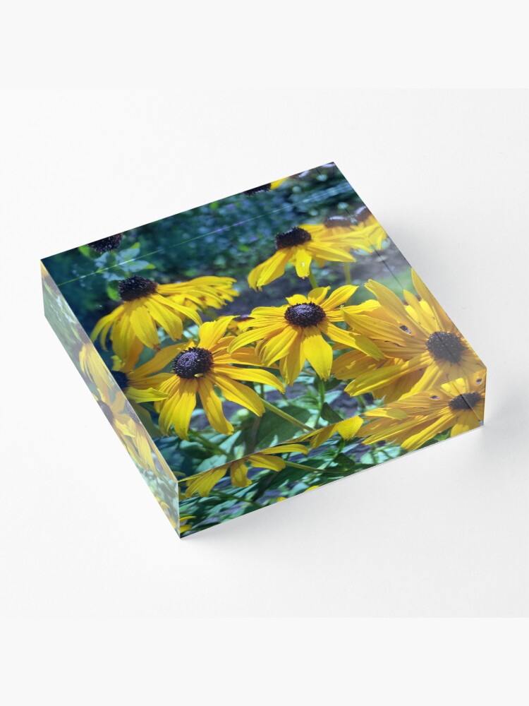 Alternative Ansicht von Gelber Sonnenhut Acrylblock