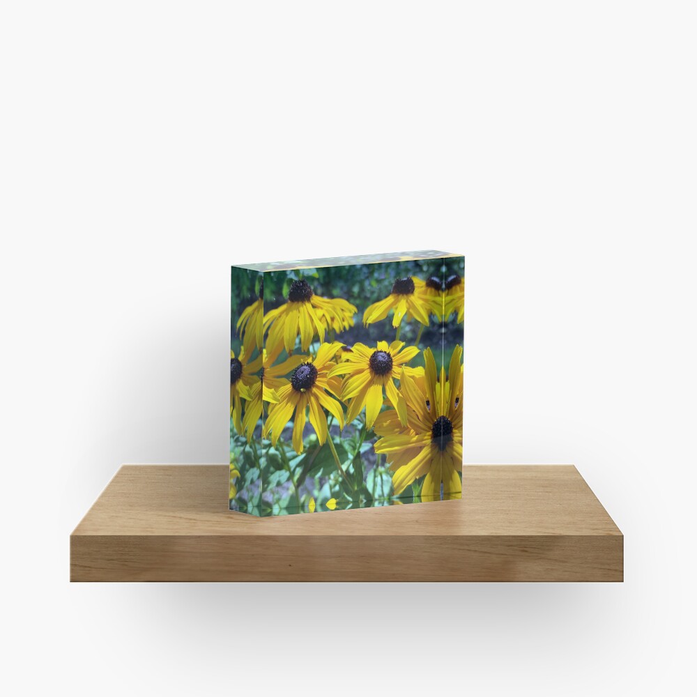 Gelber Sonnenhut Acrylblock