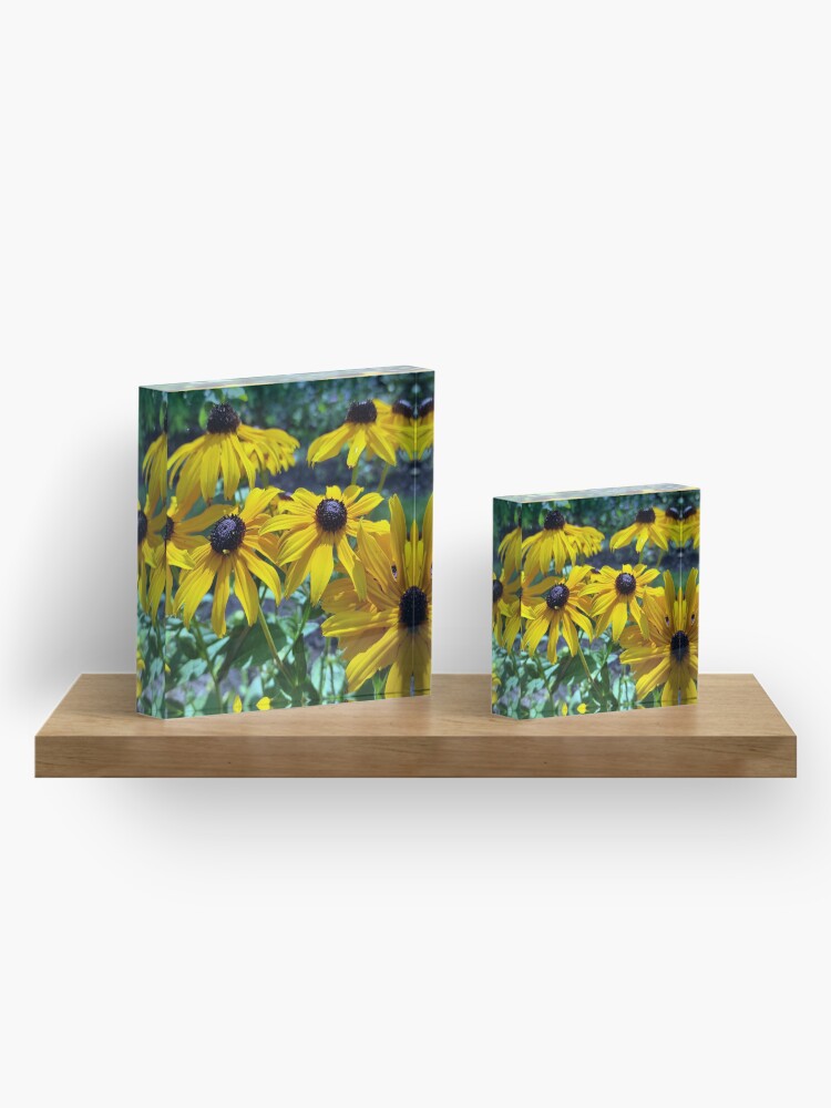 Alternative Ansicht von Gelber Sonnenhut Acrylblock