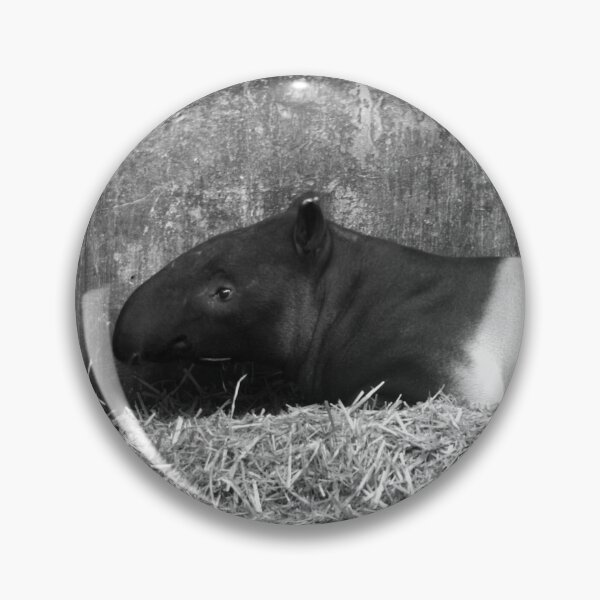 Item preview, Black and White Tapir designed and sold by Hann Regan  Photography.