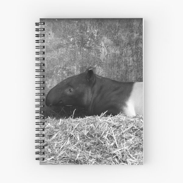 Item preview, Black and White Tapir designed and sold by Hann Regan  Photography.