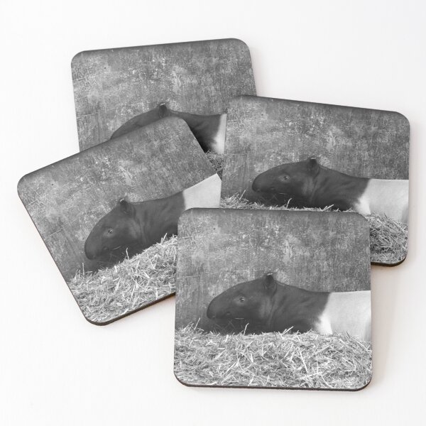 Item preview, Black and White Tapir designed and sold by Hann Regan  Photography.