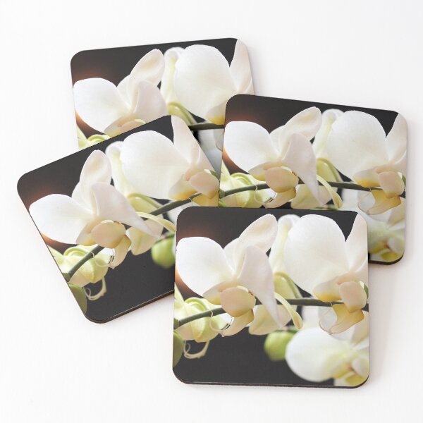 Item preview, Pretty Orchid flower - bestseller designed and sold by August-E.