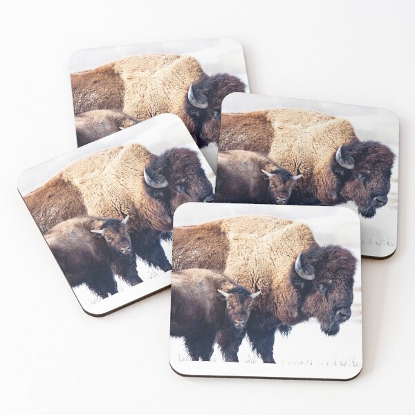Bison with cub Coasters (Set of 4)