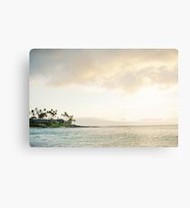 2014 August Metal Print