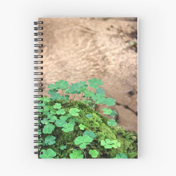 Item preview, Fortunate designed and sold by jean-nicolas.
