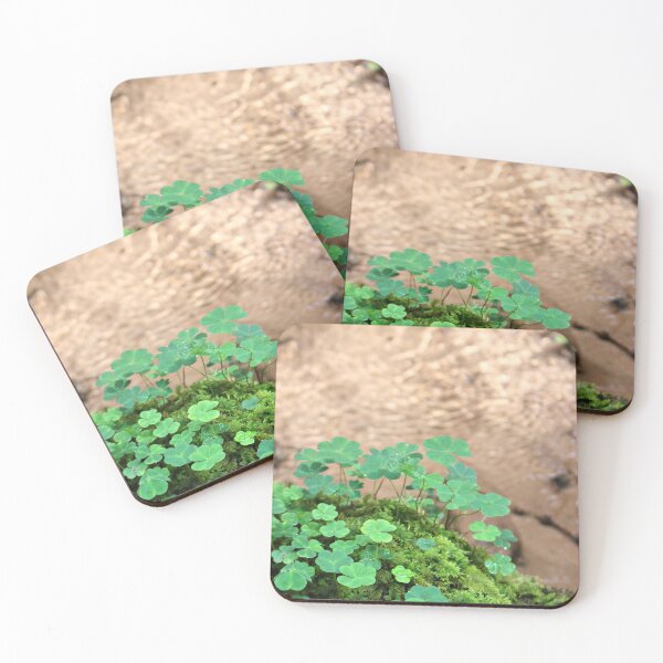 Item preview, Fortunate designed and sold by jean-nicolas.