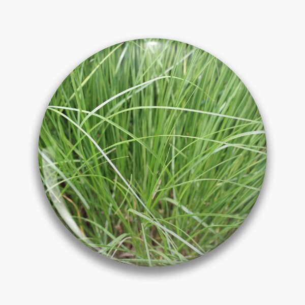 Item preview, Grass designed and sold by Susie Kramer.