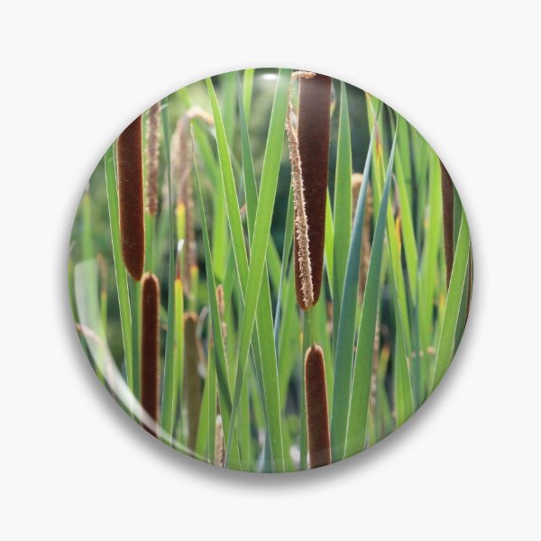 Item preview, Cattails in the Sun designed and sold by Susie Kramer.