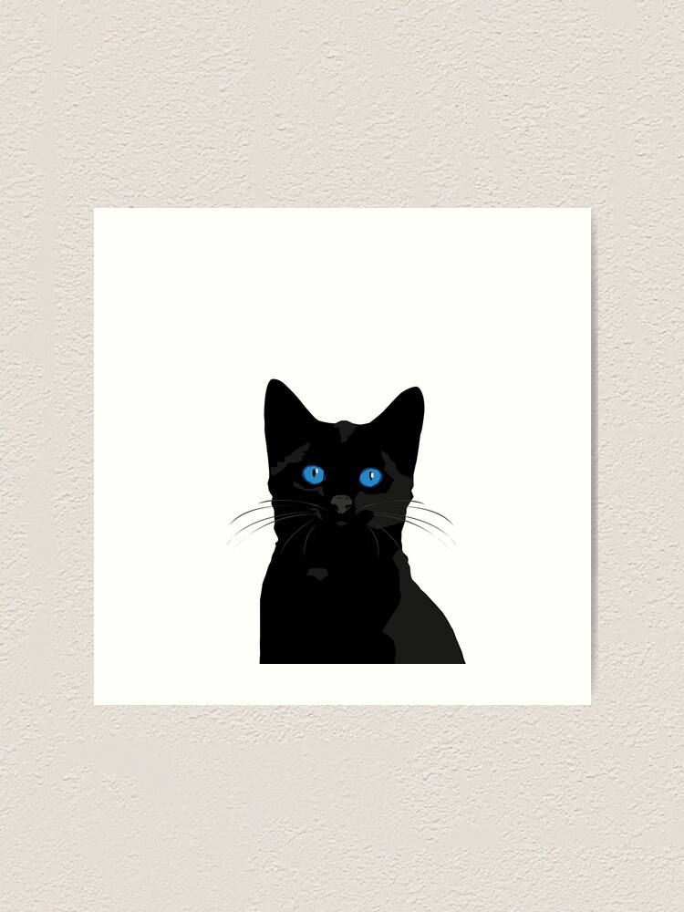 black cat blue eyes