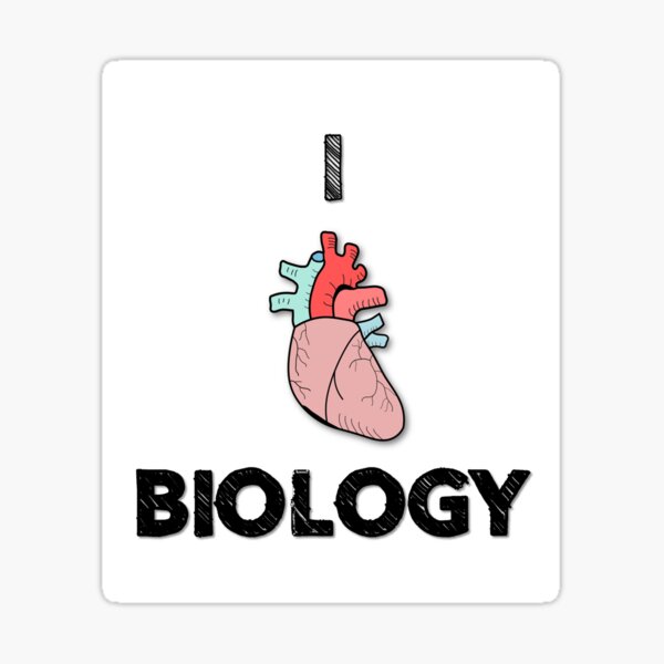 2 x 10cm Human Heart Vinyl Stickers - Doctor Uni Biology Science