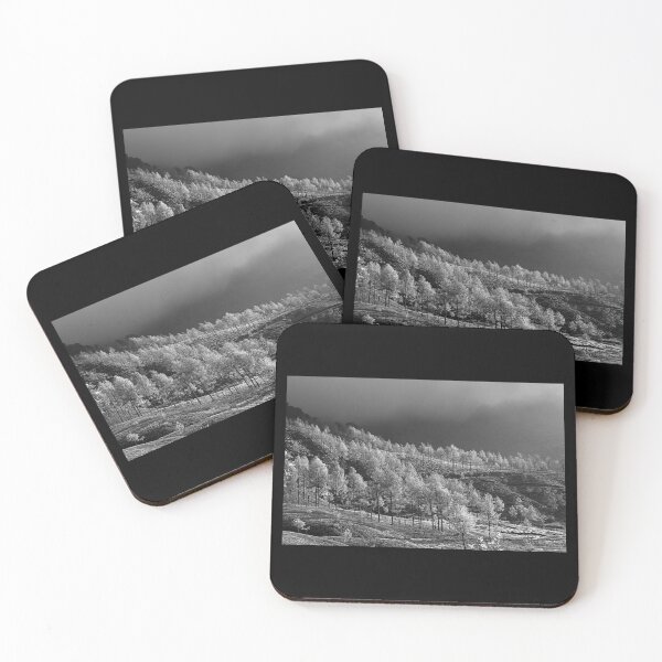 Item preview, SKN 9172 United Nature. B/W designed and sold by Sunil Kapadia.