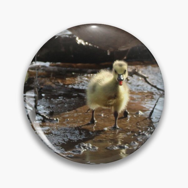 Item preview, Cuteness Overload designed and sold by Susie Kramer.