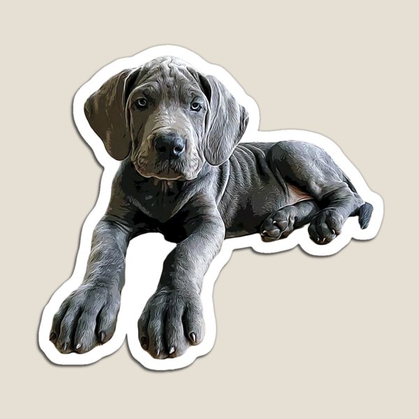 Artikel-Vorschau von Deutsche Dogge, blauer Welpe, designt und verkauft von Elarex.
