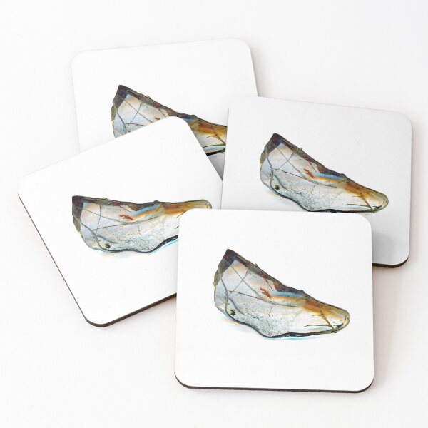 "Stehendes Wasser verliert seine Reinheit und gefriert" Untersetzer