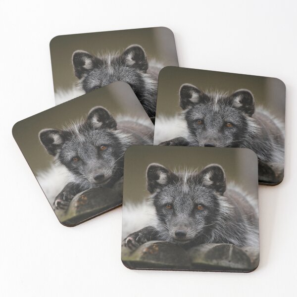 Item preview, Arctic Fox Face designed and sold by rawshutterbug.