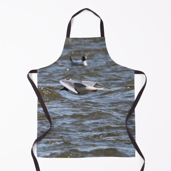 Item preview, Bonaparte Gull Four designed and sold by Susie Kramer.