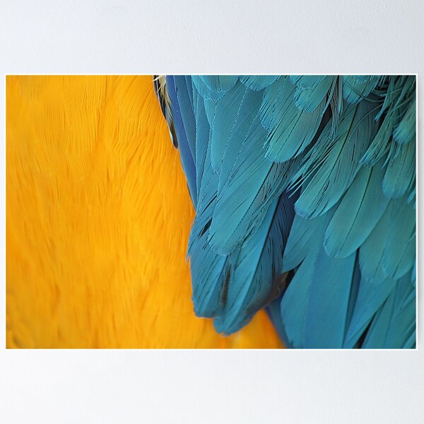 Item preview, Tropical bird Macaw Plumage Texture Closeup designed and sold by Anna Lemos.