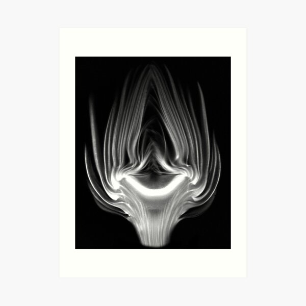Artichoke Art Print