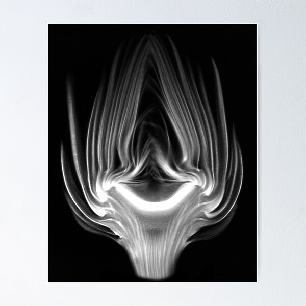 Artichoke Poster