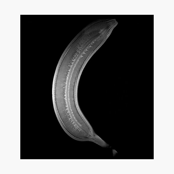 Banana Photographic Print